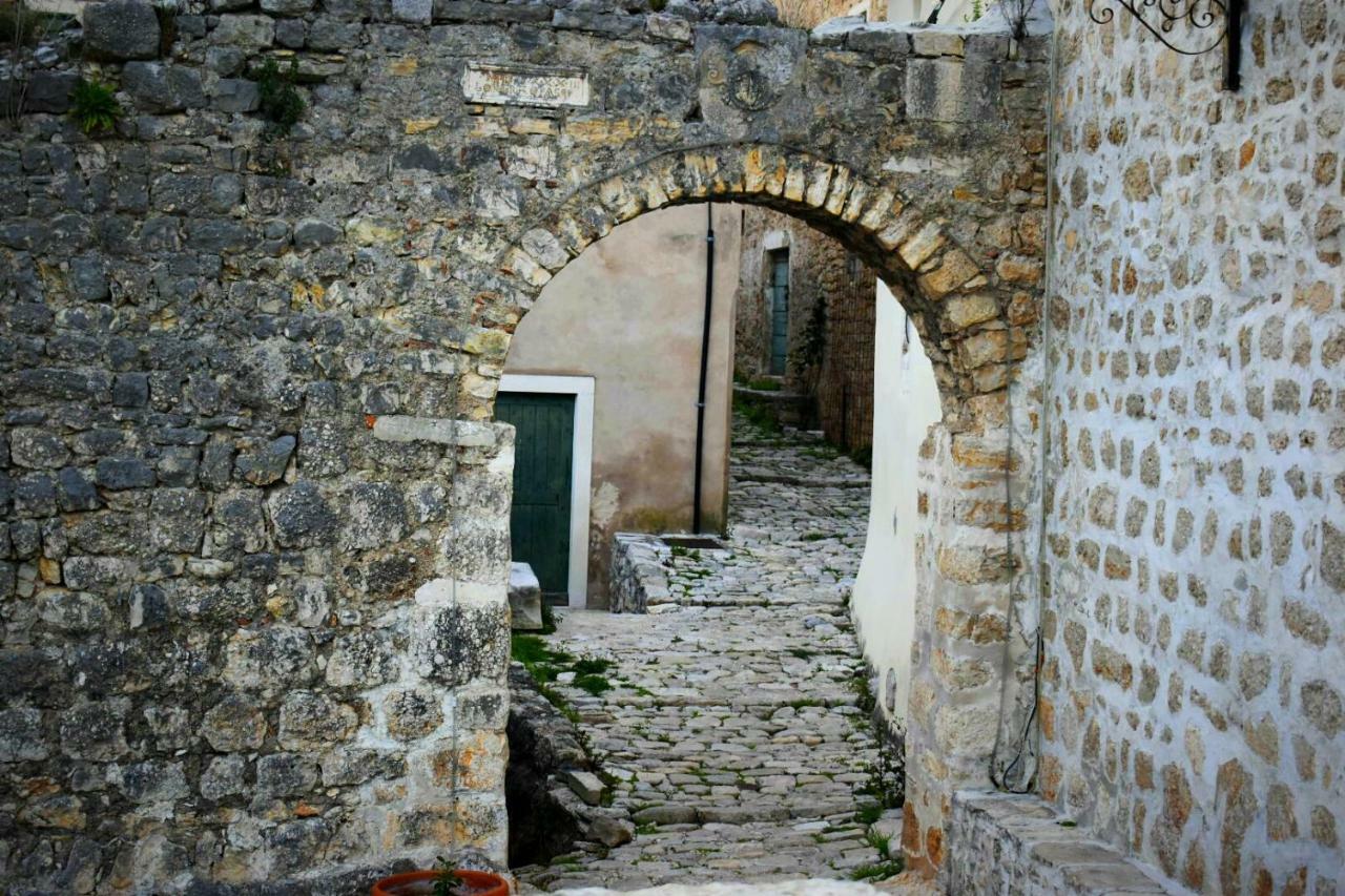 Apartments Carpe Diem Novigrad  Exterior foto